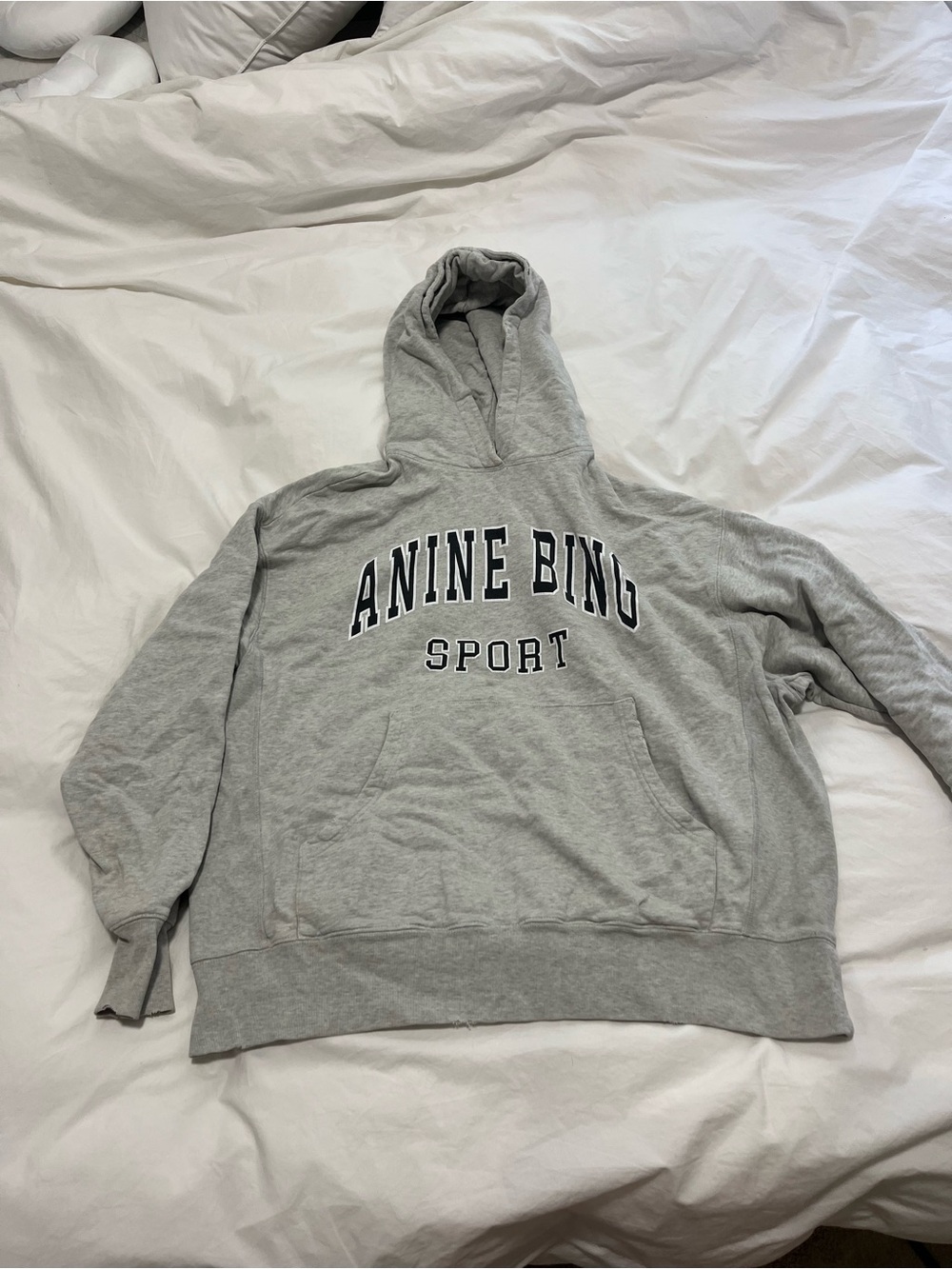 Anine Bing Light Grey Hooded Sweatshirt